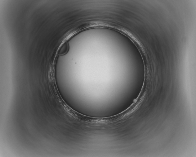 X0000116651145200912211442