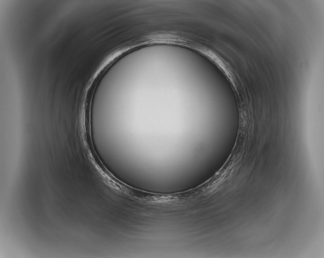 X0000116651147200912211442