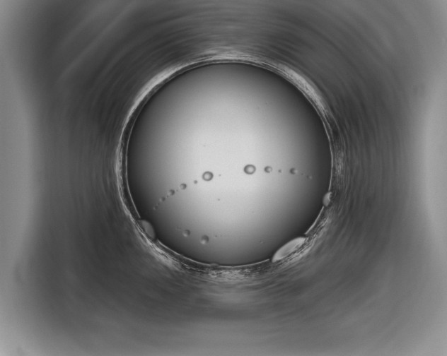X0000116651149200912211442