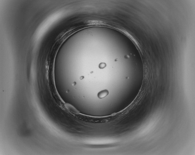X0000116651151200912211442