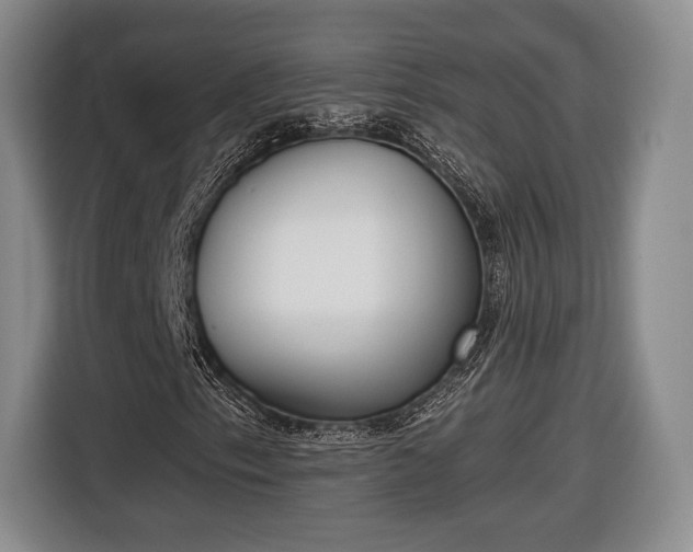 X0000116651153200912211441