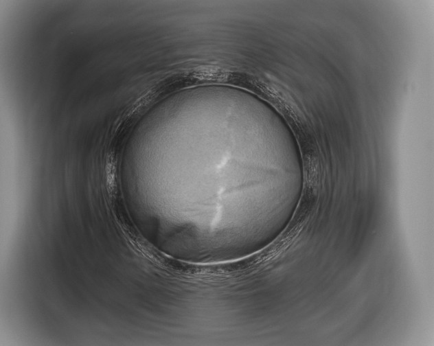 X0000116651154200912211441