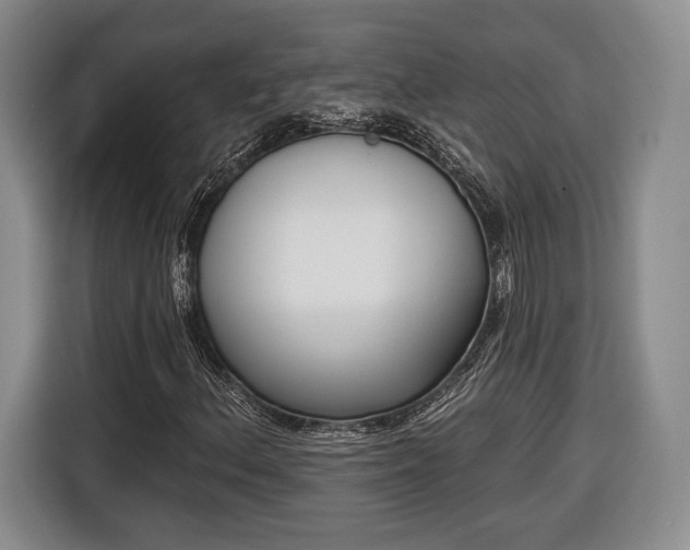 X0000116651156200912211441