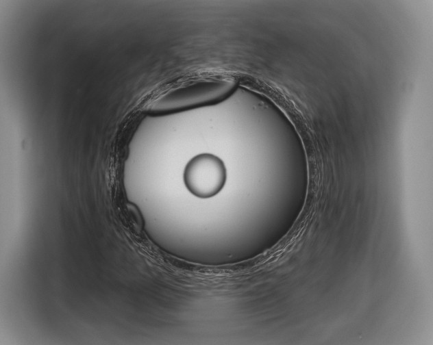 X0000116651157200912211441