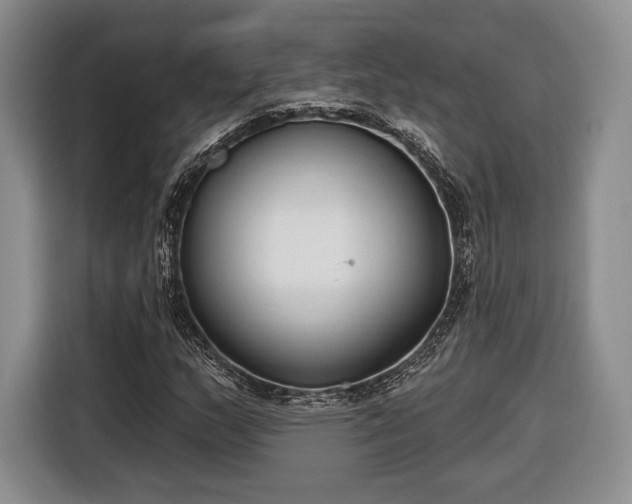 X0000116651159200912211441