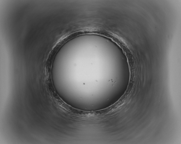 X0000116651160200912211441