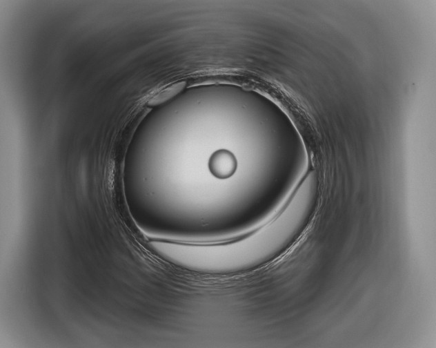 X0000116651161200912211441
