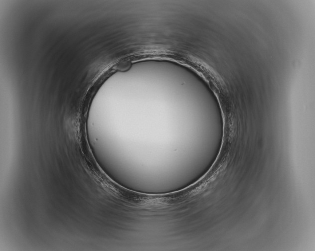 X0000116651162200912211441