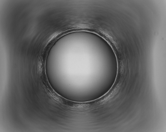 X0000116651163200912211441