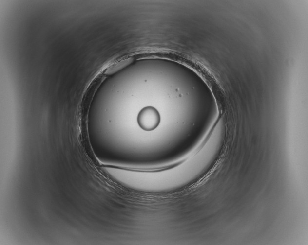 X0000116651165200912211441