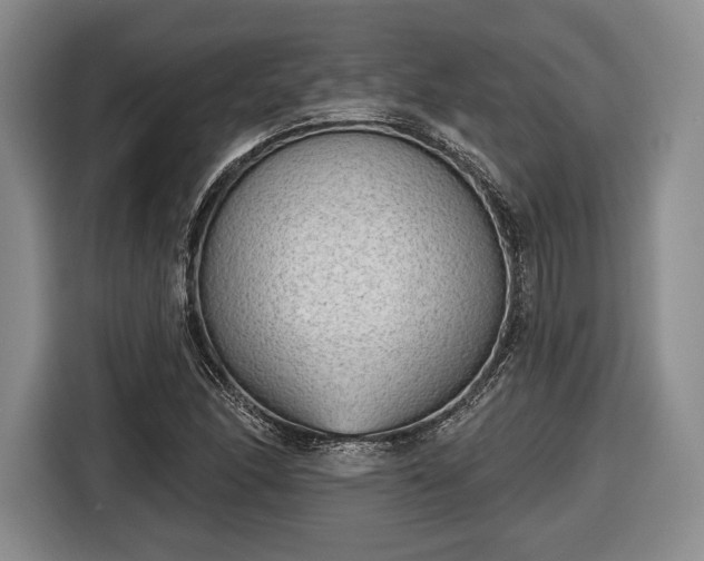 X0000116651166200912211441