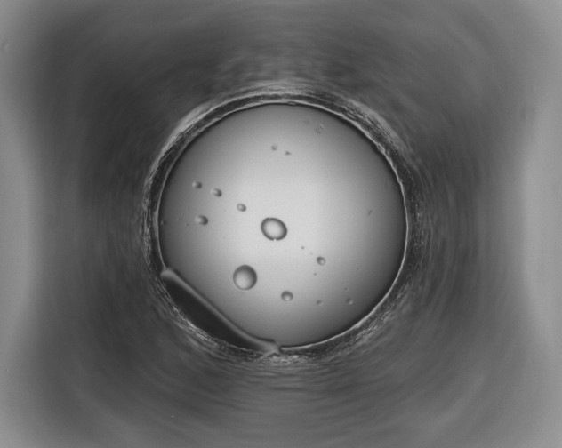 X0000116651168200912211441