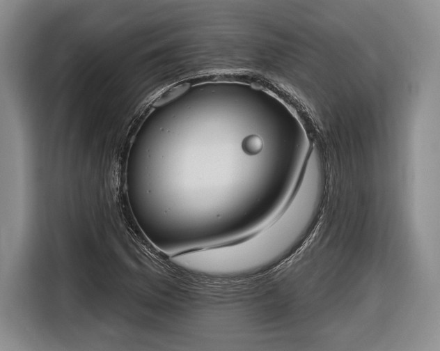 X0000116651169200912211441