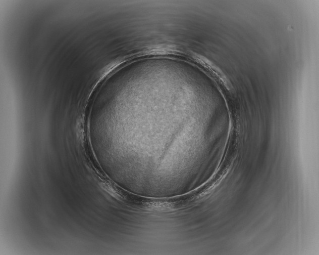 X0000116651170200912211441