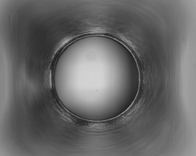 X0000116651171200912211441