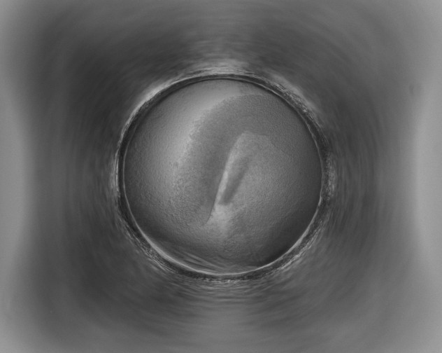 X0000116651174200912211441