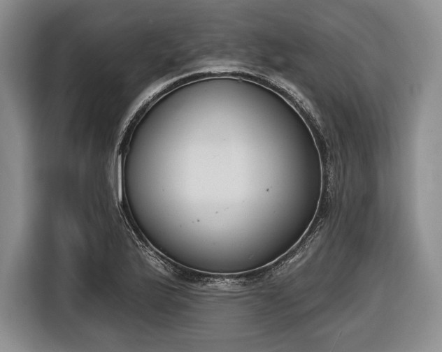 X0000116651175200912211441