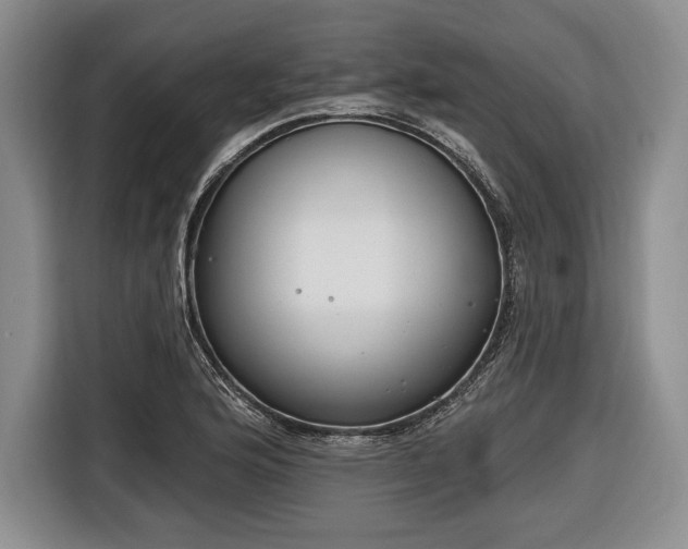 X0000116651176200912211441