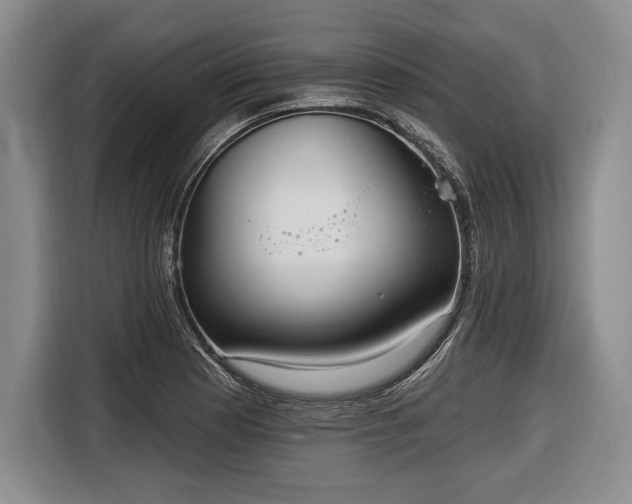 X0000116651177200912211441