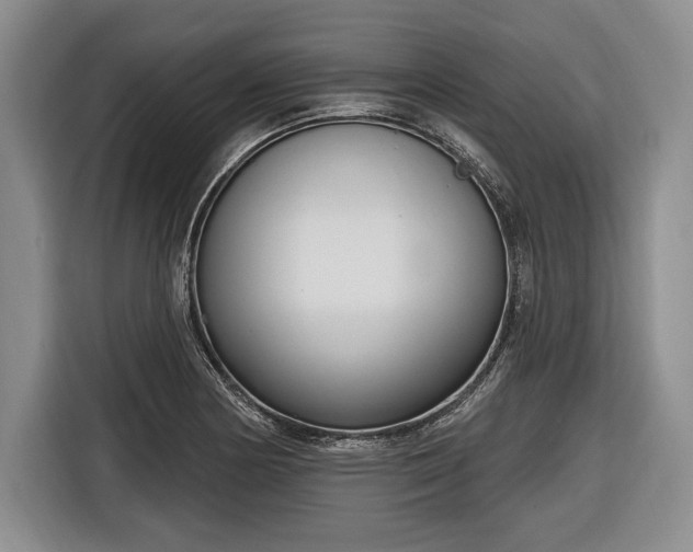 X0000116651178200912211441