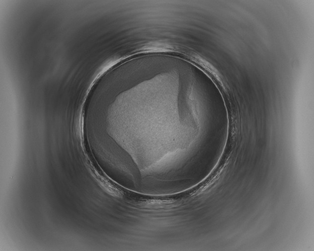 X0000116651179200912211441