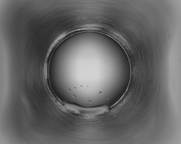 X0000116651180200912211441