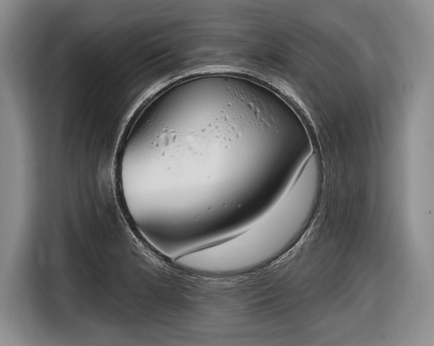 X0000116651181200912211441