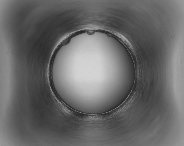 X0000116651183200912211441