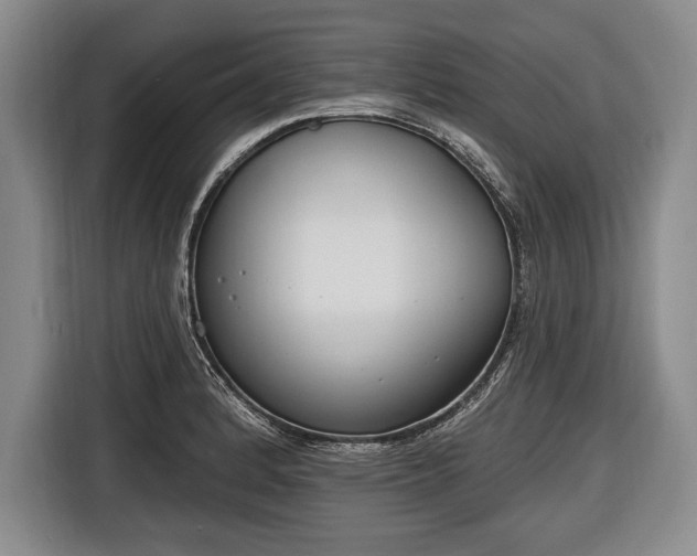 X0000116651184200912211441