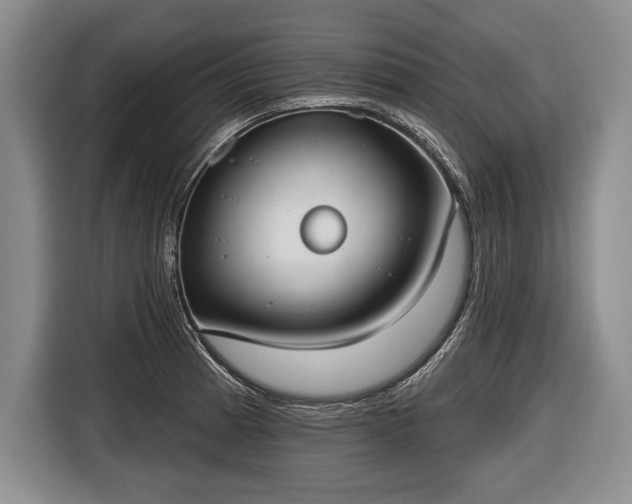 X0000116651185200912211441