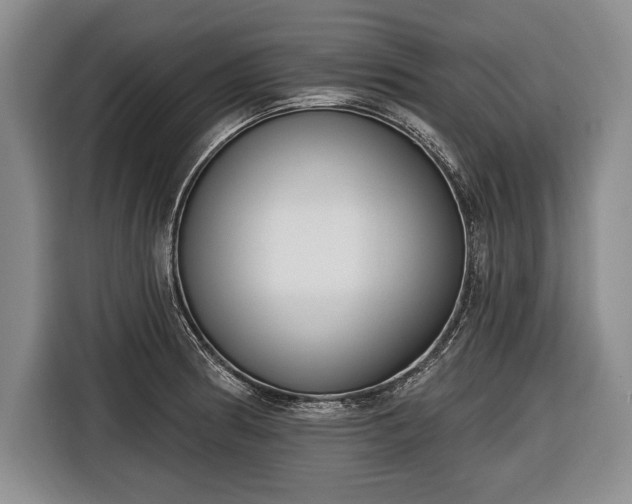 X0000116651186200912211441