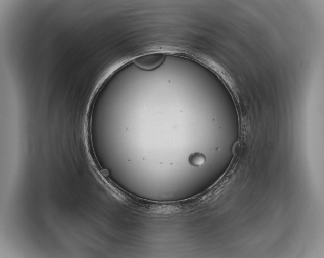 X0000116651187200912211441