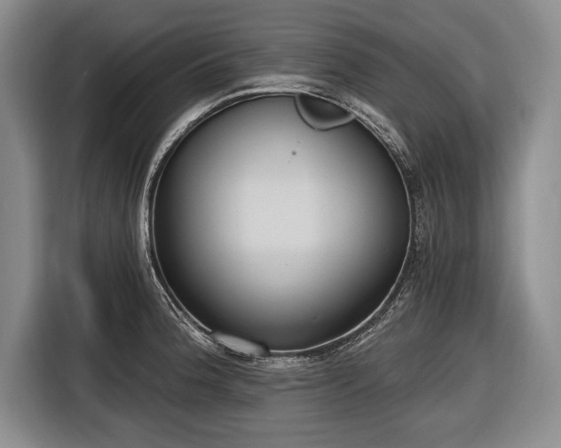 X0000116651188200912211441