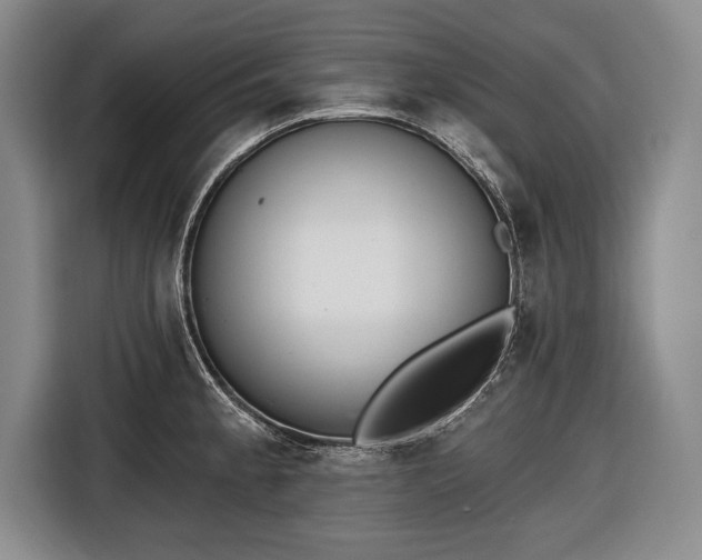 X0000116651189200912211441