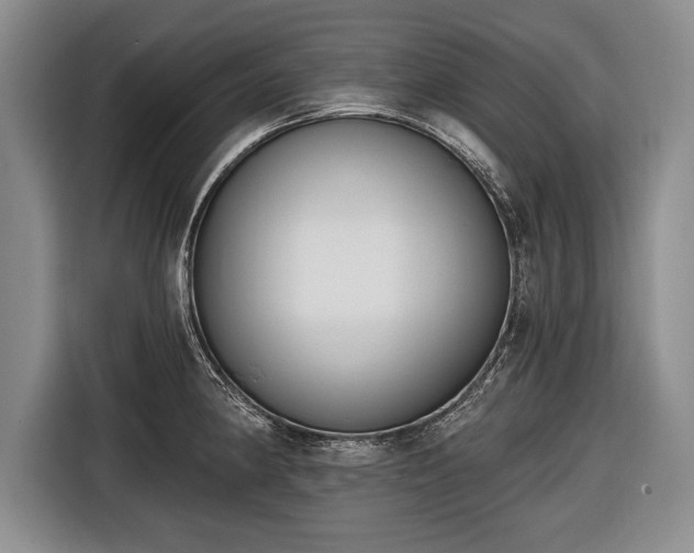 X0000116651190200912211441