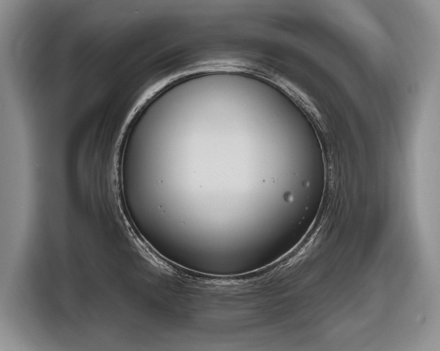 X0000116651192200912211441