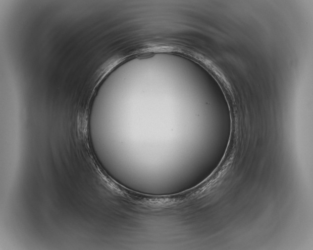 X0000116651193200912211441