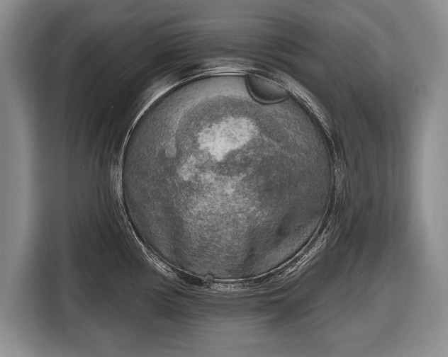 X0000116651194200912211441