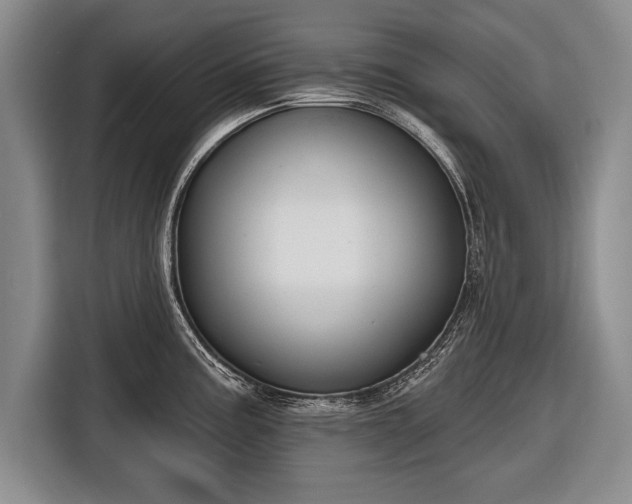 X0000116651195200912211441