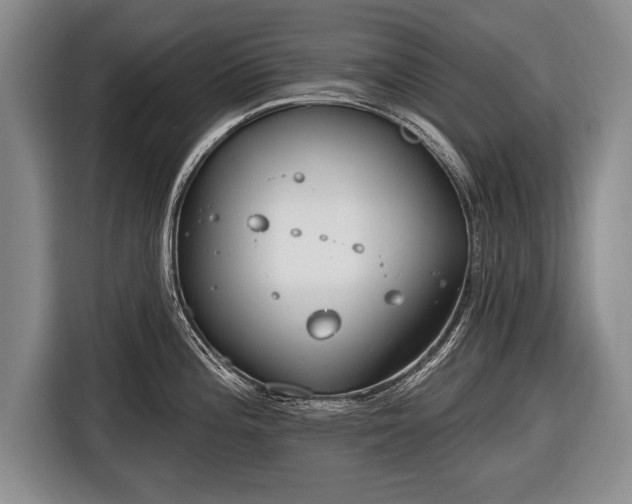 X0000116651196200912211441