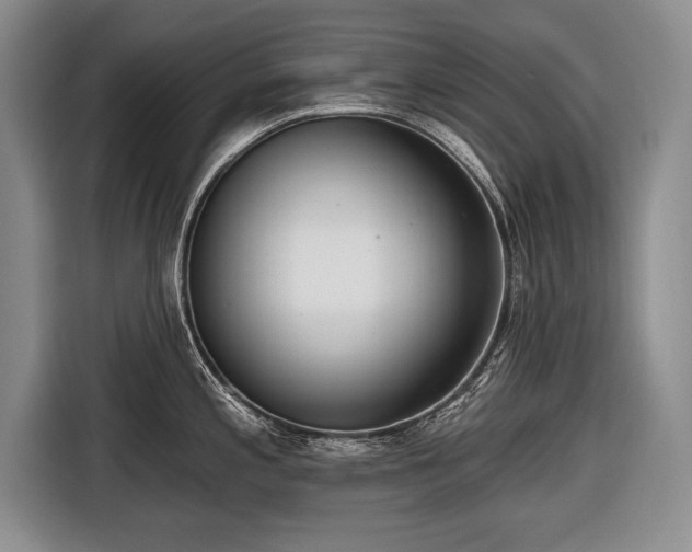 X0000116651197200912211441