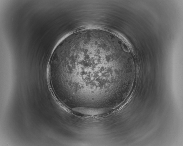 X0000116651198200912211441