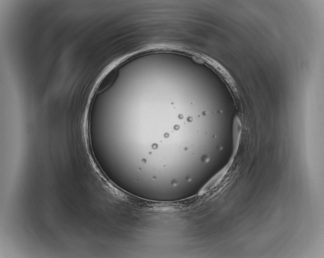 X0000116651199200912211441