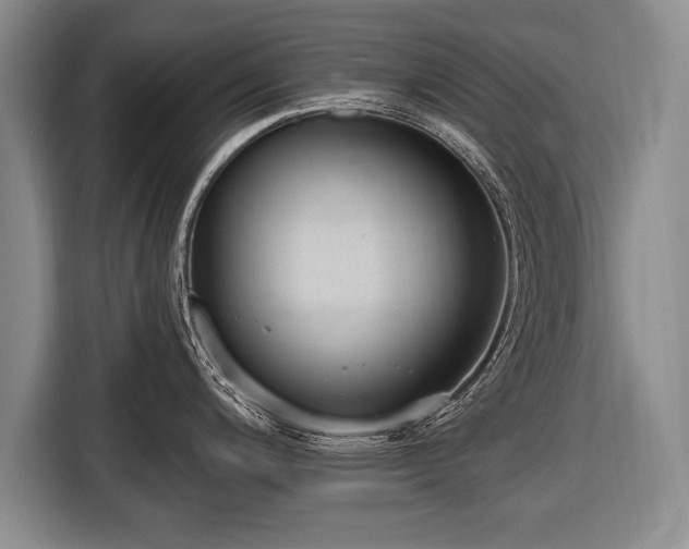X0000116651200200912211441