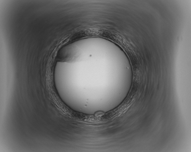 X0000116651201200912211440