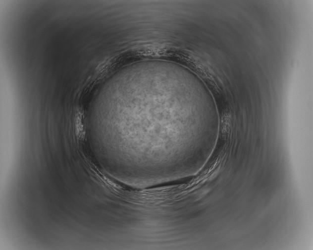 X0000116651202200912211440