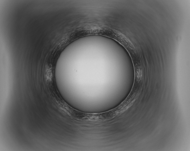 X0000116651204200912211440