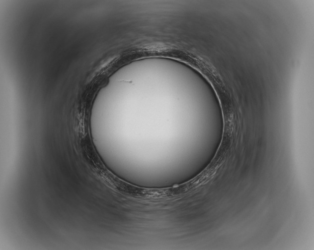 X0000116651205200912211440