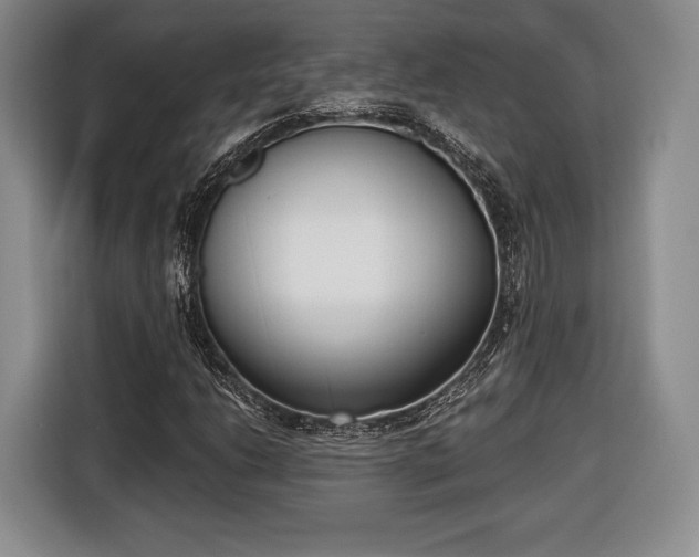 X0000116651206200912211440