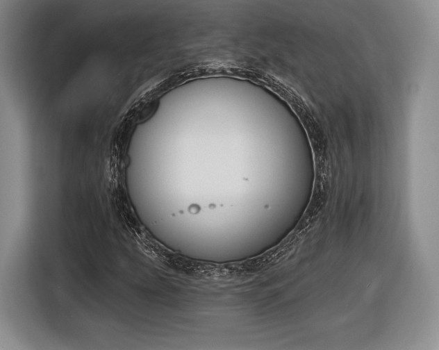 X0000116651207200912211440